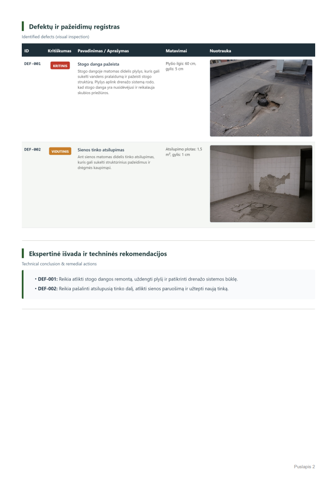 Defektu aktas PDF pavyzdys – 2 puslapis